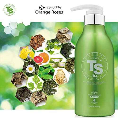 Premium TS Hair Loss Prevention Shampoo 500ml(16.9oz) + 100ml(4.23oz), Made in Korea by TS Shampoo