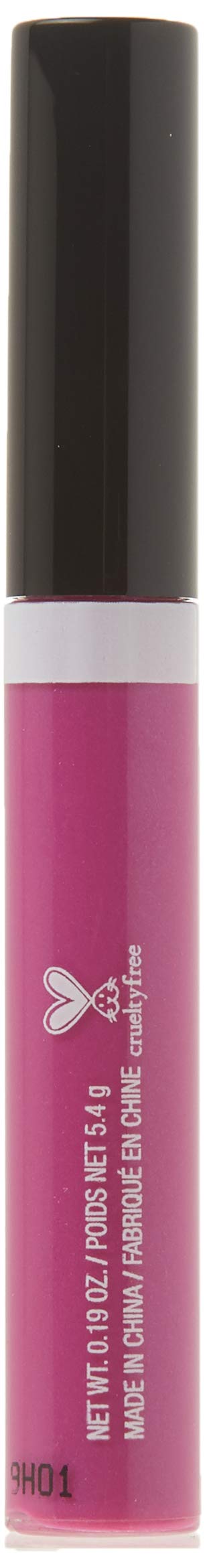 wet n wild MegaSlicks Lip Gloss, Ultra-Glossy, Vitamin-E Enriched, Ultra-Gloss High Shine Moisturizing, Cruelty-Free & Vegan - Berried Treasure(Carded)