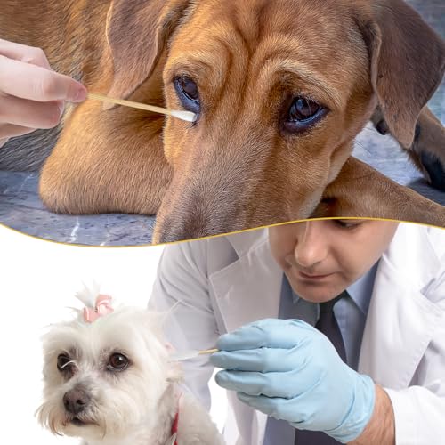 Dog Ear Cleaning Cotton Swabs – 400 Pack, 6" Bamboo