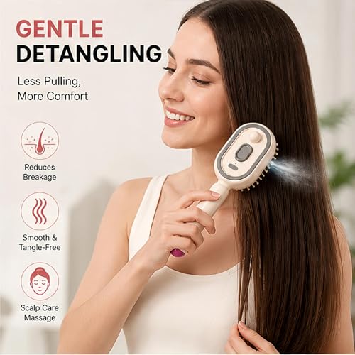 Electric Spray Air Cushion Massage Hair Brush - 5 in 1