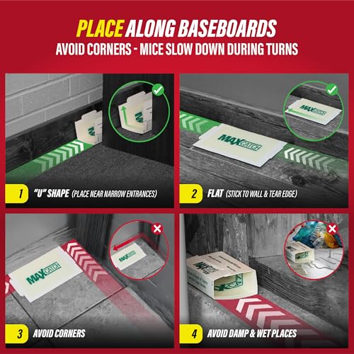 Catchmaster Max-Catch Glue Traps 36-Pack - Mouse & Insect Sticky Boards