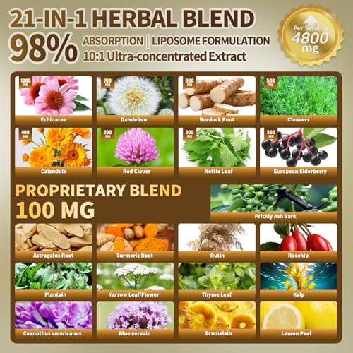 Lymphatic Drainage Supplement 21-in-1 Complex, 90 Capsules