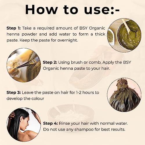 BSY Organic Henna Powder 100g | Natural Hair Color