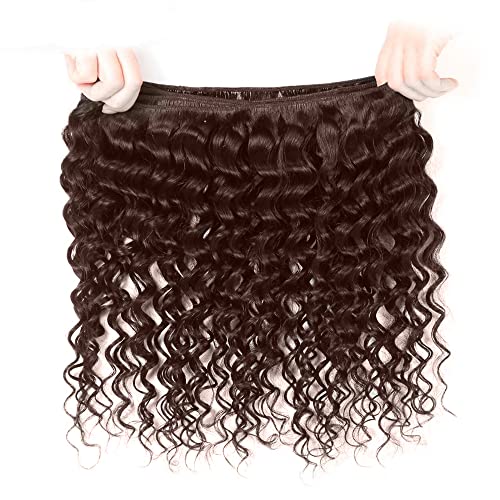 FuivJuix 12 Inch Brown Water Wave Human Hair Bundles - Unprocessed Brazilian Virgin Hair
