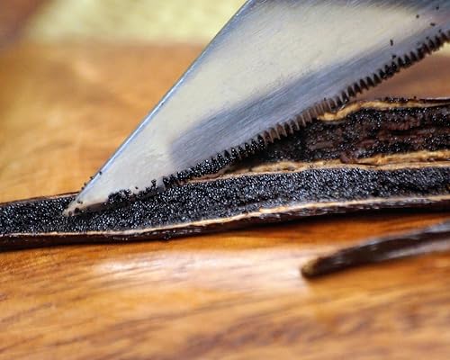 Madagascar Organic Vanilla Beans 50 Count - Grade A Whole Vanilla Pods for Baking & Extracts
