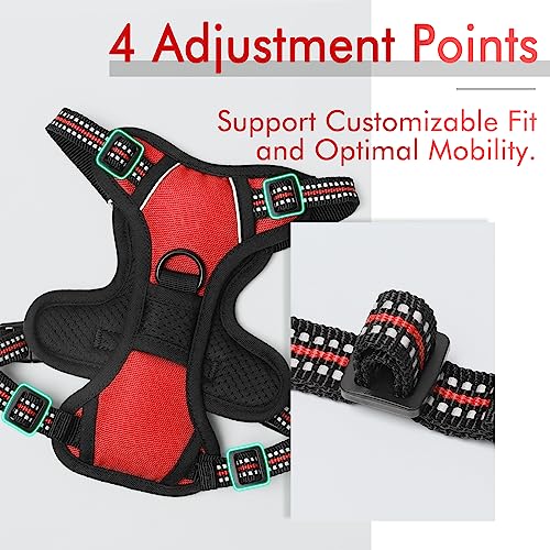 rabbitgoo Dog Harness, No-Pull Pet Harness with 2 Leash Clips, Adjustable Soft Padded Dog Vest, Reflective No-Choke Pet Oxford Vest with Easy Control Handle for Small Dogs, Red,XS