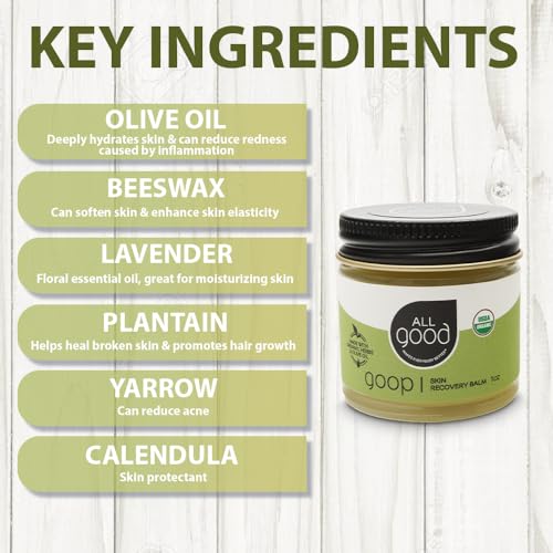All Good Goop Organic Skin Care Recovery Balm - All Purpose Ointment w/Calendula, Lavender, Beeswax - Chafing Cream, Dry Skin Salve, Cracking Lip Moisturizer - Soothes, Hydrates & Calms - 1oz