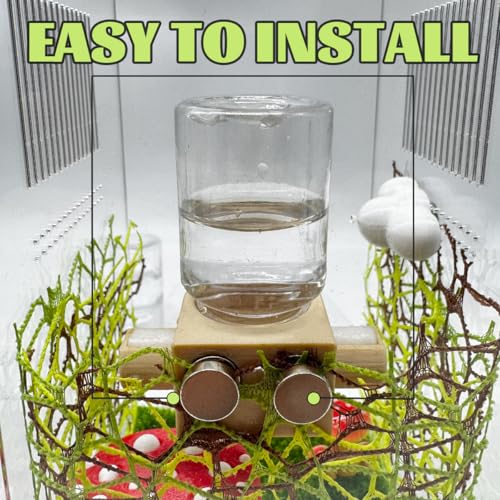 Magnetic Jumping Spider Water Dispenser & Feeder with Tweezers