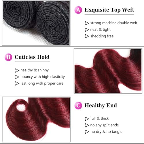 Virgin Hair Bundles 1B/99J Ombre Burgundy Body Wave 8-12 Inch