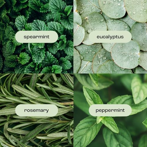 Natural Inspirations Eucalyptus Rosemary Mint Body Care Trio Gift Set in Travel Bag