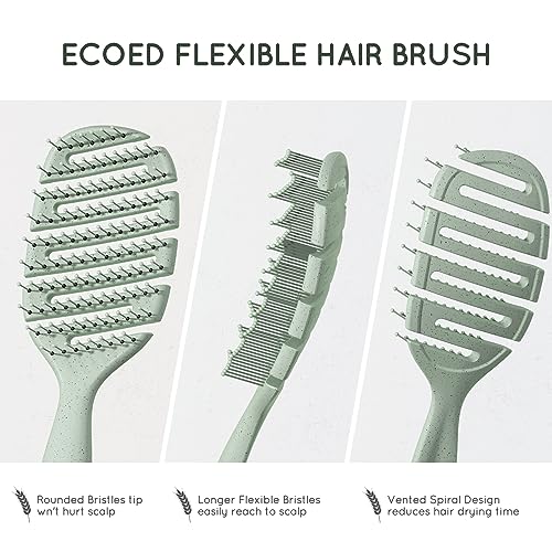 Detangler Hairbrush for Wet & Dry Hair | Gentle Bristles