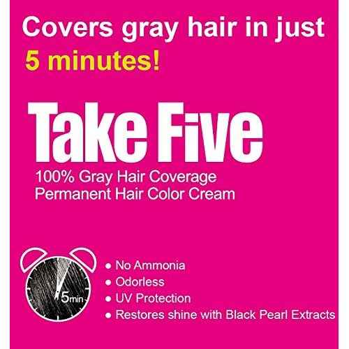 Dongsung Take 5 Hair Dye No. 4 Natural Brown Covers Gray Hair in Just 5 Minutes Without Any Foul Odor! Designed to Improve Damaged Hair (Pack of 12)