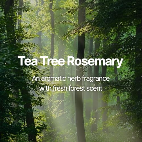 Body Lotion - Tea Tree Rosemary 16.9 fl. oz. / Moisturizing Body Lotion with Shea Butter & 5 Herbal Extracts/Lightweight Hydration & Soothing Care
