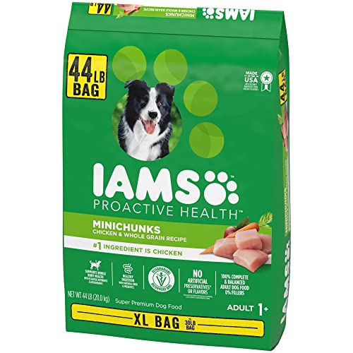 Iams Proactive Health Minichunks with Chicken & Whole Grain Recipe Adult Dry Dog Food, 44 lbs.