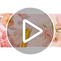 Domensi 30 Pack Rose Quartz Glass Roller Bottles 10ml