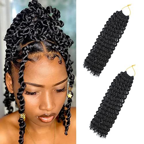 Long Passion Twist Hair 24 Inch Water Wave Crochet Hair for Black Women Passion Twist Crochet Hair for Butterfly Locs 2 Pack Curly Crochet Passion Twist Braiding Hair Extensions 1B Natural Black