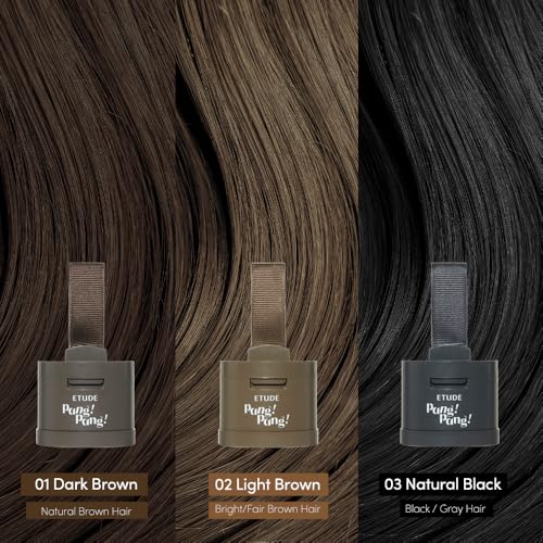 ETUDE Hair Pang Pang Waterproof Hair Powder - Dark Brown