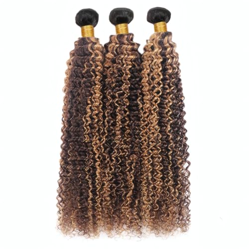 Brazilian Kinky Curly Hair Bundles T1B/P4/27 8-12 Inch