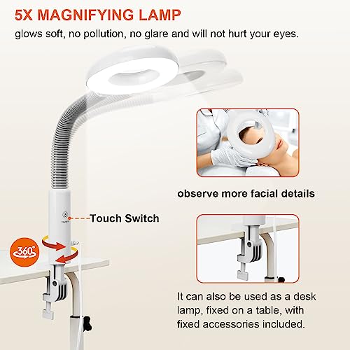 Professional 2-in-1 Facial Steamer with 5X Magnifying Lamp