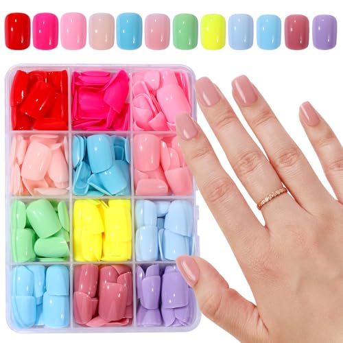 Jellyqueen A22-02-03 Short Square Press-On Nails 360 pcs with 12 Colors & Tools