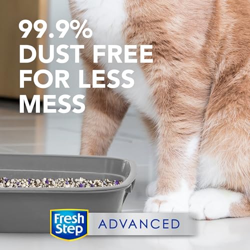 Fresh Step Clumping Cat Litter, Advanced, Clean Paws Multi-Cat, Extra Large, 37 Pounds total (2 Pack of 18.5lb Boxes)