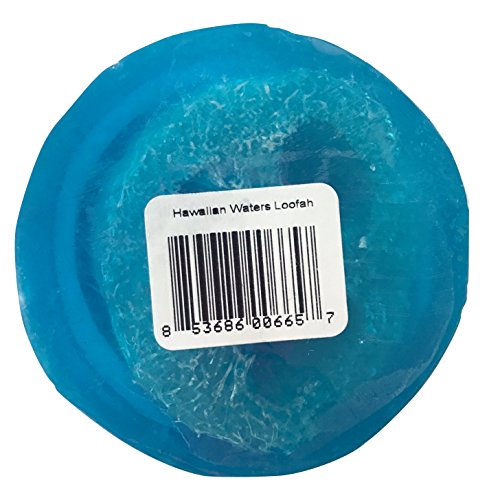 Bubble Shack Hawaii Bungalow Glow Coco Loofah Soap (Hawaiian Waters Ocean Bliss)