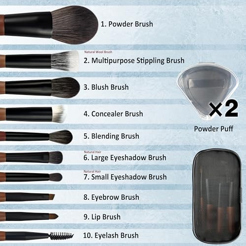 Travel Makeup Brush Set with Case, Mini Makeup Brushes Set for Powder, Foundation, Eyeshadow, Lip, Highlight, Blush & Concealer, 10 Pcs Travel Size Makeup Brushes & 2Pcs Triangle Powder Puff