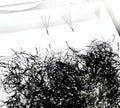 Pinneacle Premade Volume Lash Fans 10mm CC Curl