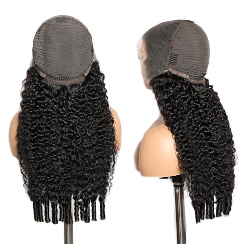 Lemoda 13x6 Full Lace Frontal Wig Burmese Curly 28 Inch