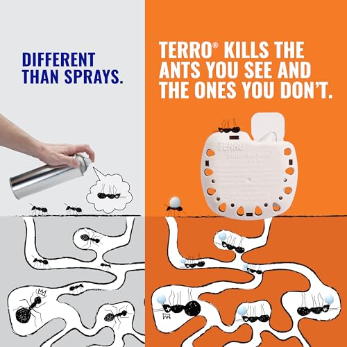 TERRO T334B Indoor Multi-Surface Liquid Ant Bait and Ant Killer - 4 Discreet Ant Bait Stations - Kills Common Household Ants