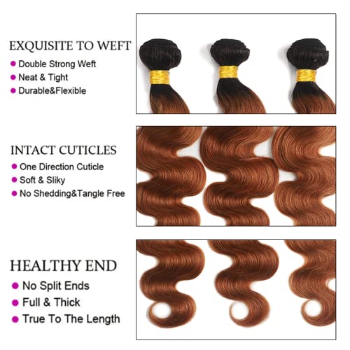 Fridnae Ombre Brown #1B30 Body Wave Human Hair Bundles 24-28 Inch Set