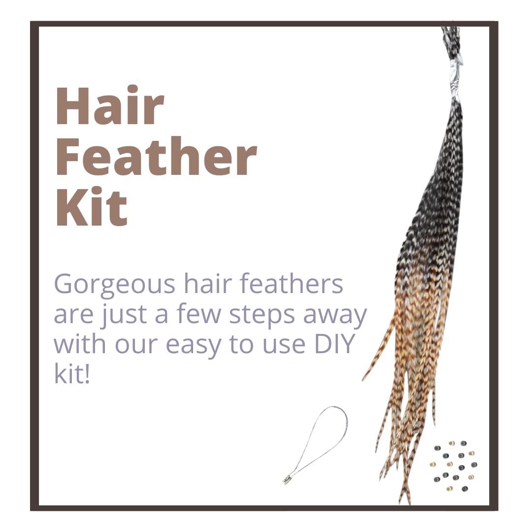 Feather Hair Extensions, 100% Real Rooster Feathers and bead loop kit, 20 Long Thin Tie Dye Ginger Brown and Black and White grizzly striped Ombre Bayalage natural look