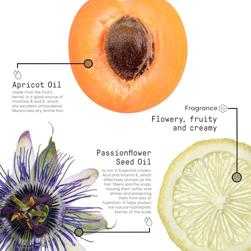 FRAMESI Morphosis Sublimis Hair Oil Serum, Hydrating Hair Treatment