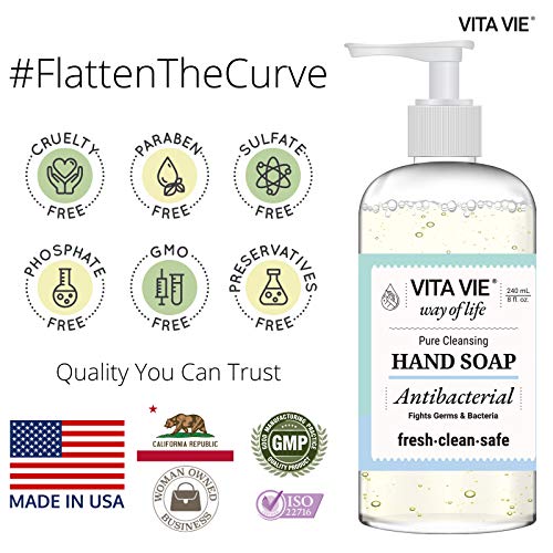 Liquid Hand Soap, Antibacterial Hand Wash With Hazel, Willow Bark Extract and Tea Tree Oil, Gentle and Non Drying for Everyday Use, Vegan, Paraben and Alcohol Free, Non GMO, 8 Fl Oz, 3 Pack