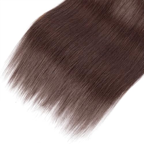 AuokMar 12-34 Inch Chocolate Brown Human Hair Bundles - Straight 3 Pack, 160g