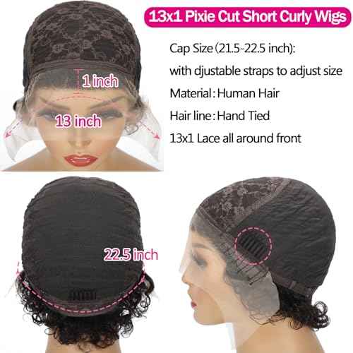 NEWMI Pixie Cut Wig Human Hair 13X1 Transparent Lace Front Human Hair Wigs Natural Black Short Curly Wigs Human Hair Pre Plucked for Black Women 6 Inch