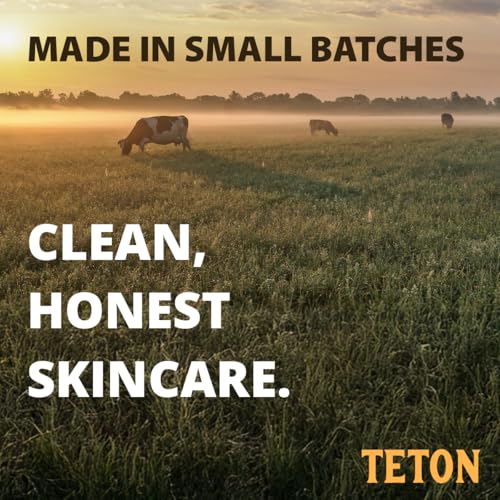 Teton Grass Fed Tallow Lip Balm with Beeswax & Jojoba Oil ? Deep Moisturizing Lip Care with Vitamin E & Tangerine Oil ? Smooth, Nourishing Lip Balm for Dry, Chapped Lips (3)