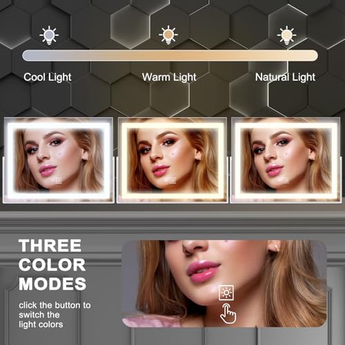 14 Inch LED Vanity Mirror with 3 Color Dimmable Lights