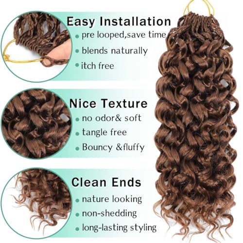 Agstgla 10 Inch Pre-Looped Curly Crochet Hair 8 Pack - Model 30#