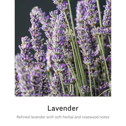 simplehuman Lavender Liquid Hand Soap Refill 3-Pack - 90 fl oz