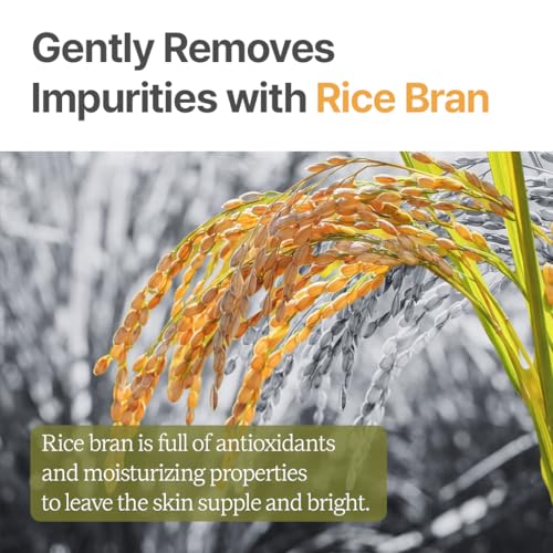 Rice Makgeolli Serum ? Concentrated Hydrating & Nourishing Formula ? Made with Domestically Sourced Korean Rice ? 30 ml (1.01 Fl Oz) ? Korean Skincare