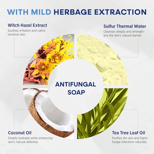 Hermon Antifungal Soap with Tea Tree Oil: Antifungal Treatment Bar Soothing Care & Relief of Itchy for Ringworm, Jock Itch, & Athlete's Foot - Body & Face Wash - Original & Lavender 4Pack