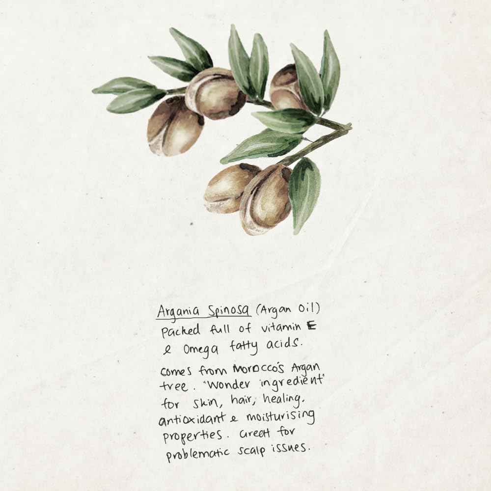 TRIUMPH & DISASTER Ponsonby Pomade – Medium Hold Hair Wax for Men and Women, High Shine, Non-Greasy Finish, 95g – Fine to Thick Hair