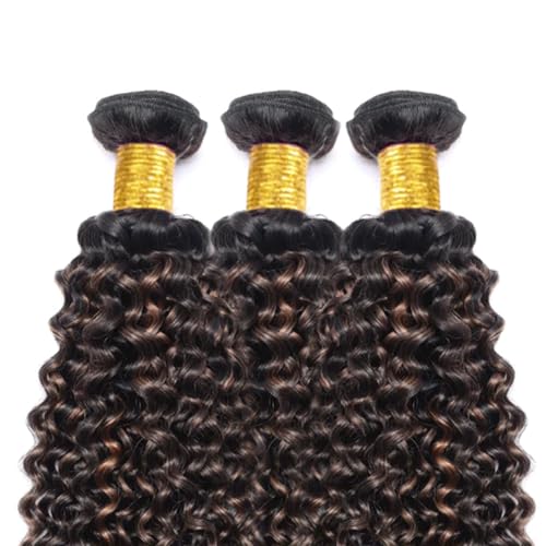 Fridnae Ombre Kinky Curly Hair Bundles P1B30 - 3 Pack, 16-20 Inch