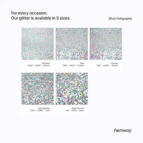 Hemway Biodegradable Glitter 100g Silver Holographic Eco-Friendly