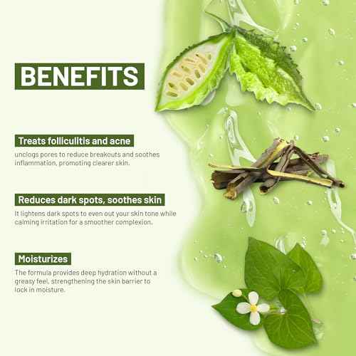 ABERA High-Performance Folliculitis Body Wash with Wild Bitter Melon Extract, BHA Shower Gel, Reduces Back Acne & Keratosis Pilaris, Folliculitis Treatment, Acne Body Wash for Sensitive Skin, 10.14 oz