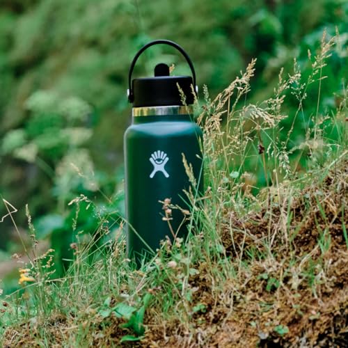 Hydro Flask 40 Oz Wide Mouth Flex Straw Cap Fossil