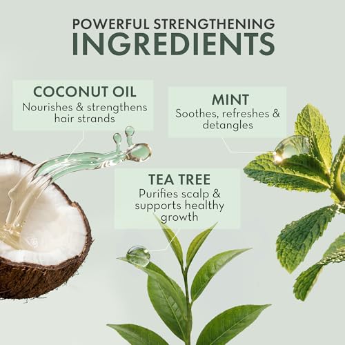 Tea Tree Leave-In Conditioner Spray for Scalp Relief - 2 Pack
