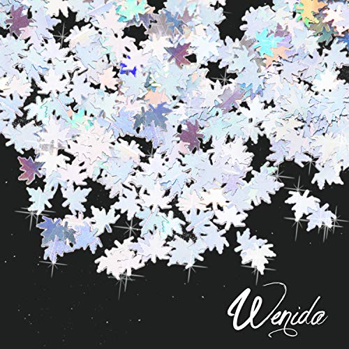 Wenida 12 Color Holographic Maple Leaf Glitter Cosmetic Set
