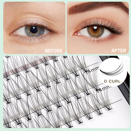 10D Lash Extensions 200pcs Mixed Sizes 8-14mm